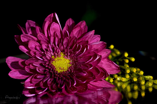 1757167 (a): :6144x4096